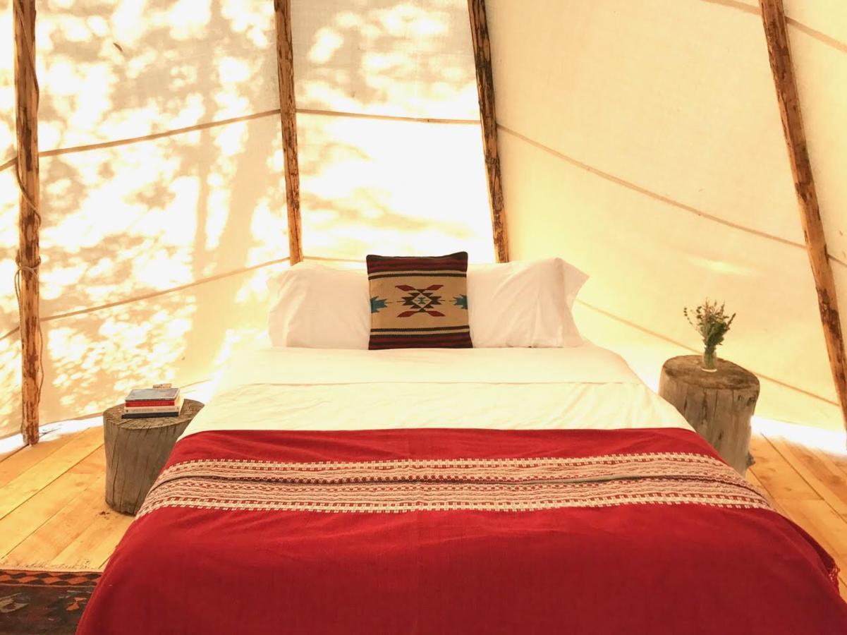 Taos Goji Farm & Eco-Lodge Retreat Arroyo Seco Eksteriør bilde
